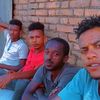 tedi.king53