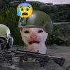 bruh_866