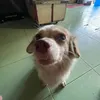 anhduyzzh
