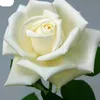 2jde8