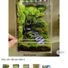 quang.trung695