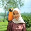 nisrina.craft