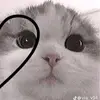 mia_or_mimi03