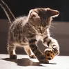 gatinhuw