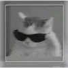 yovstr