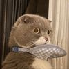 catbosssss
