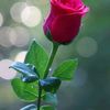 k.ksamy5