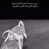 km_71.alq