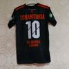 tchanturia10