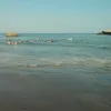cherusi.s