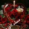 user8856240109531