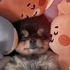 taekook95.975