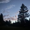 drewski890_