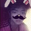 veen663