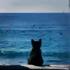 julie_7408
