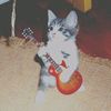 kittycat.18.33.yupi