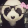 shyzza.555