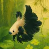 Tank Talk ✨🌿🐠