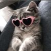 asyakosee_12