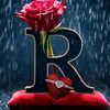 R+R👩‍❤️‍👨