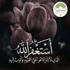 islamic.video.786874