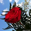 user322702813818