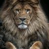 djallal057