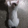 roberto_100002