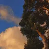 483fl2