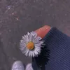 ..kotki..pieski