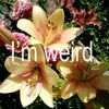 un17written