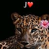 johriineyyy