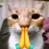 smel_98