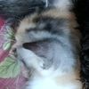 pleasefollowaku4tiktok.0