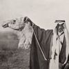 العنزي