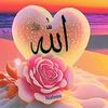 user5150537265133