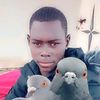 user3251518626907