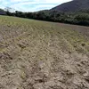 rodriguez6876_