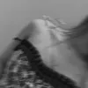 thng_308
