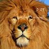 user4130014968038