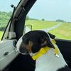 charles.painter2