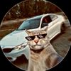 ray_satoruz