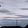 nikadqbpj0g