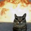 meowcatler_213