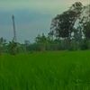 riski.saputra4887