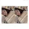 ebehaybun27112