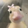 _yuka.nek_