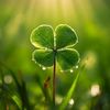 four.leaf82