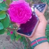 user7465928187210