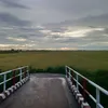 khoiluois